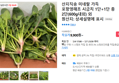 시금치