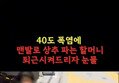 썸네일 이미지