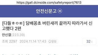 심심할때 길빵충 신고하고 포상금도 받는 방법