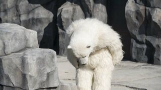 삼양에  뭍혀서  몰래 질주하는  주식