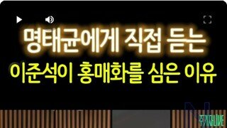 주기자 라이브 명태균