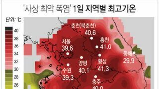 역대급이었던 2018년도 여름 ㄷㄷㄷ