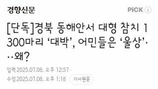 경북 동해안서 대형 참치 1300마리 ‘대박’, 어민들은 ‘울상’···왜?