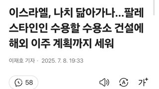 이스라엘, 나치 닮아가나…팔레스타인인 수용할 수용소 건설에 해외 이주 계획까지 세워
