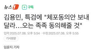 김용민, 특검에 