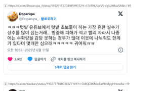 텃밭 초보들이 상추심을때 가장 많이 하는 실수