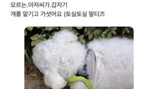모르는 아저씨가 갑자기 개를 맡기고 가셨어요