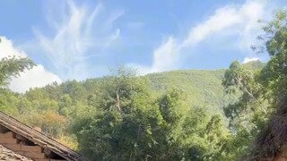 노처녀 딸들 데려가라는 아버지..