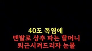 40도 더위에 길에서 상추를 파시는..