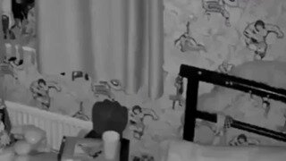 잠자는 아기 덥친 고앵이의 최후