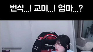 방송중에 번식, 교미 외차다가 엄마가 들어온 스트리머