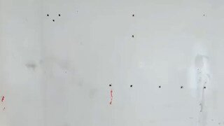 코카콜라 VS 펩시