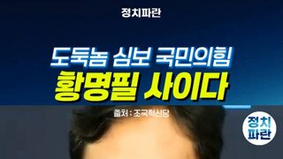 조국혁신당 도둑놈 심보 국힘.mp4