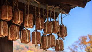 '메주' 길드 길원모집중. 자유길드 아무나환영!