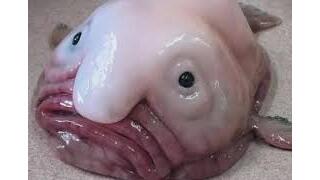 녹취록을 틀자  다급해진  국힘