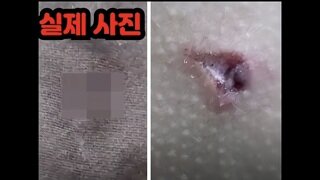 고전 양궁협회 학폭가해자 영구제명