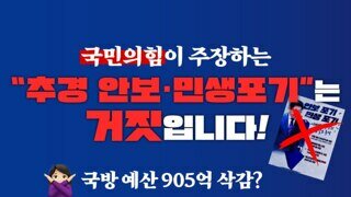 국민의힘이 주장하는 