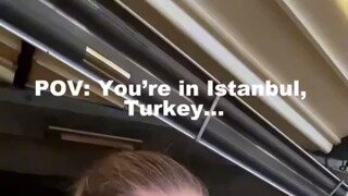 고양이들의 도시 이스탄불.mp4...
