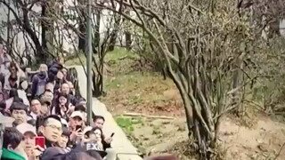 원숭이를 만지지 마세요