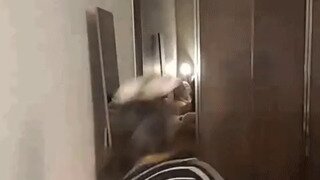 블핑 지수 오프숄더 2