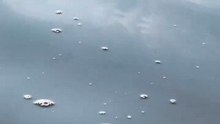 수위가 아슬아슬한 게이동영상