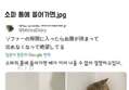 썸네일 이미지