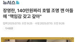 장영란 호텔 조명 깬 아들에 “책임감 갖고 140만 직접 갚아”