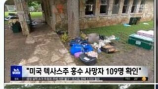 의문의 평행세계.jpg
