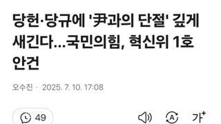 당헌·당규에 '尹과의 단절' 깊게 새긴다…국민의힘, 혁신위 1호 안건