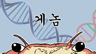 왠지 탐나는 도장