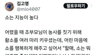 소는 영물이다