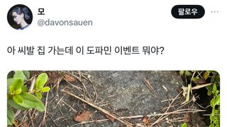 흔한 길거리 도파민 이벤트