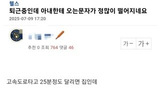 퇴근중인데 아내한테 오는문자가 정많이 떨어지네요