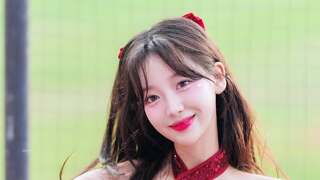 뉴욕 집사가 말하는 고양이 vs 멍뭉이