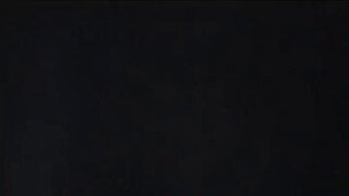 스트라이크 프리덤 견담