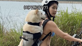 멍멍이랑 자전거 타는 누나