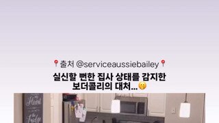 주인 몸상태를 먼저 감지한 브로콜리.mp4