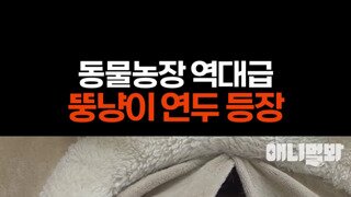 냥이가 뚱뚱해봤자 얼마나 뚱뚱하겠냐?