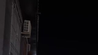 사람에게 도움을 요청한 고슴도치