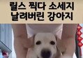 썸네일 이미지