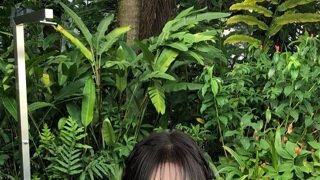 옆 나라 일본 근황