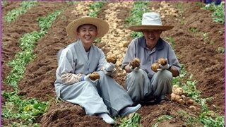 스님들이 육체 노동보다 힘들어하는 수행.jpg