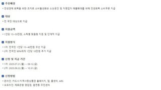 민생회복 소비쿠폰 안내 사항