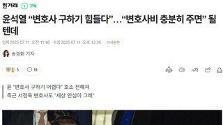 윤내란 국선 변호 받으면 예상되는 장면