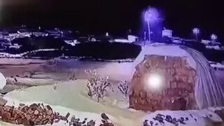 개 vs 늑대