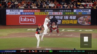 프로야구 호랑이 독수리 경기에서 나온 장면