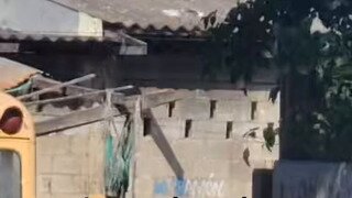게이가 자연스러운 이유.gif