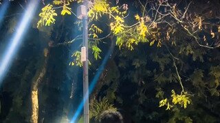 케데헌주의) 사자보이즈 댄스커버에 놀라셧던분들을 위해 진정되시라고 헌트릭스 골든 댄스 커버영상 가져왓어용