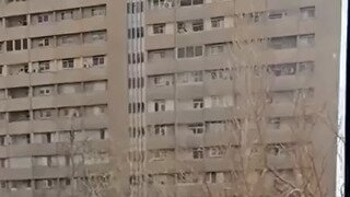 매일 밥 얻어먹으러 오는 길냥이