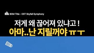 미국의 미친 놀이기구